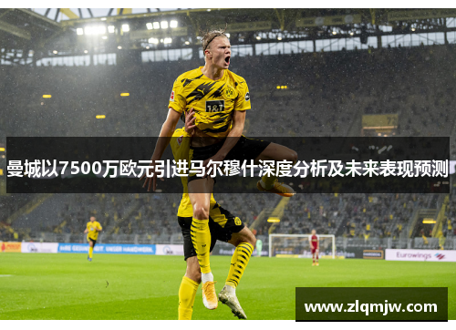 曼城以7500万欧元引进马尔穆什深度分析及未来表现预测