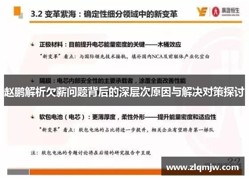 赵鹏解析欠薪问题背后的深层次原因与解决对策探讨